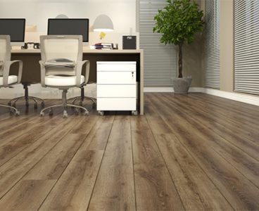 S_Ambiente_Studio_-Arenal